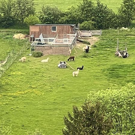 Gemuetliche 3-Zimmer-Wohnung Mit Panoramablick Und Kostenlosem Ueberdachten Parkplatz Winterberg Exteriér fotografie