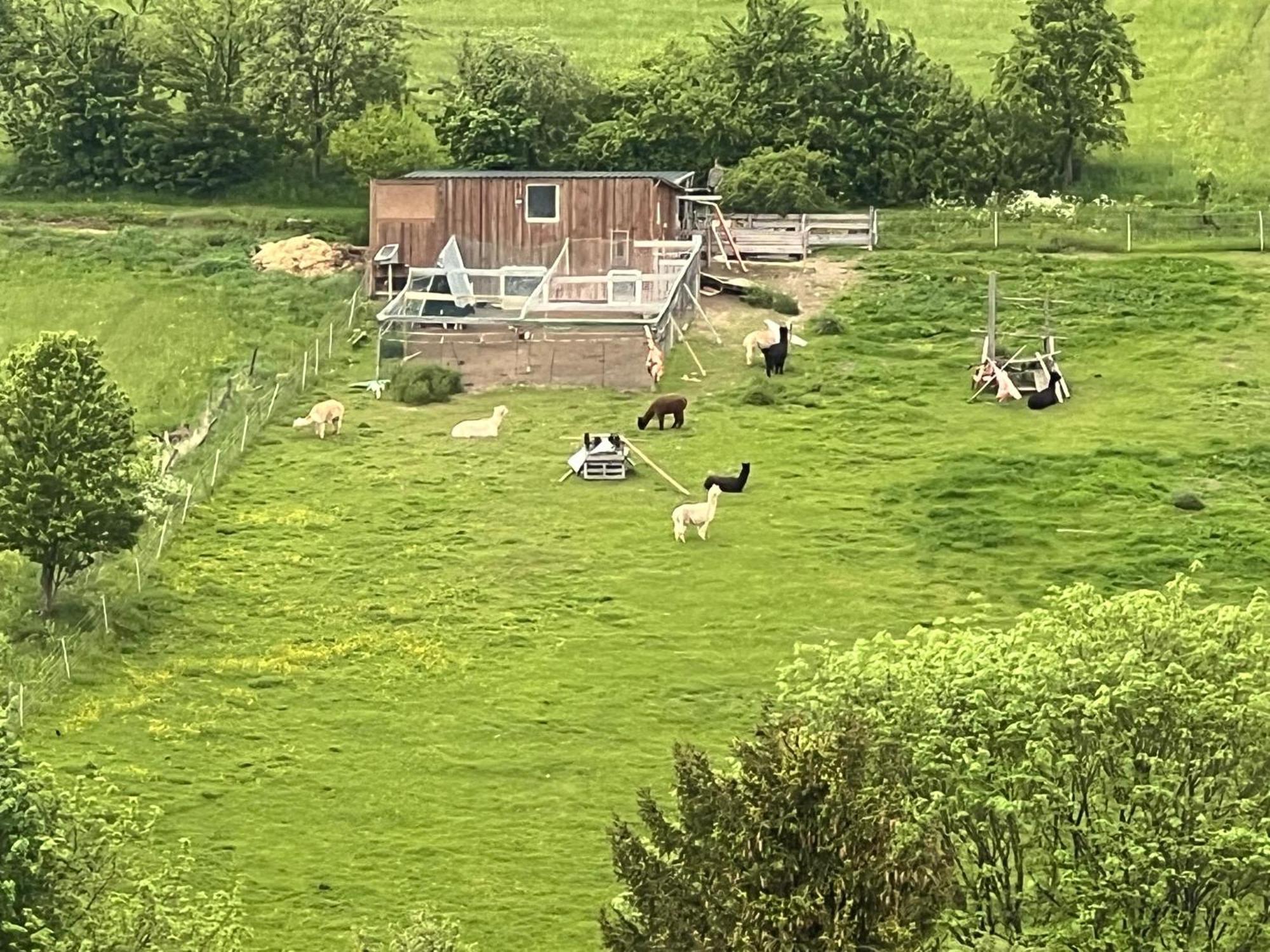 Gemuetliche 3-Zimmer-Wohnung Mit Panoramablick Und Kostenlosem Ueberdachten Parkplatz Winterberg Exteriér fotografie